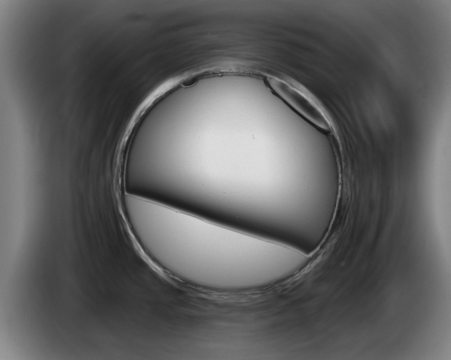 X0000085261437200703090845