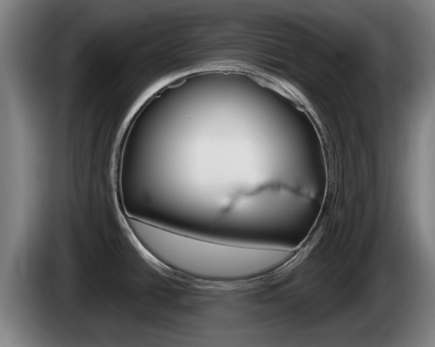 X0000085261438200703090845