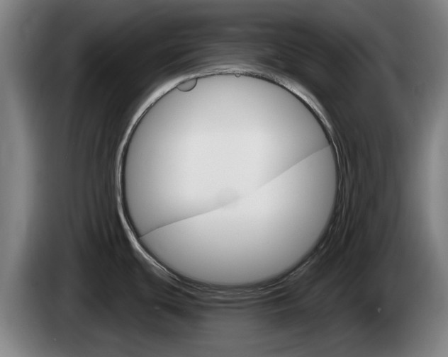 X0000085261439200703090845