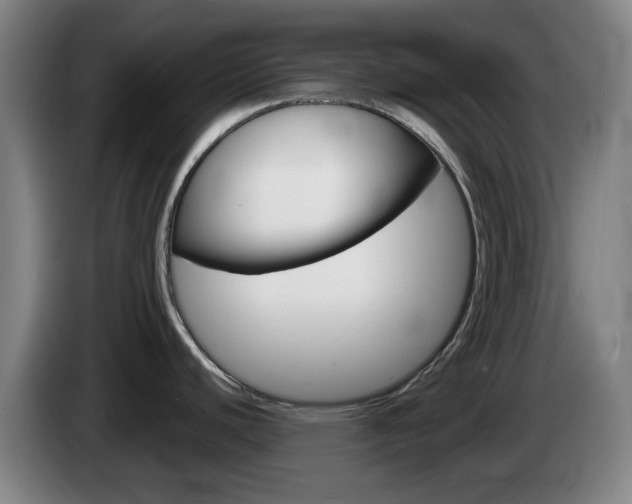 X0000085261440200703090845