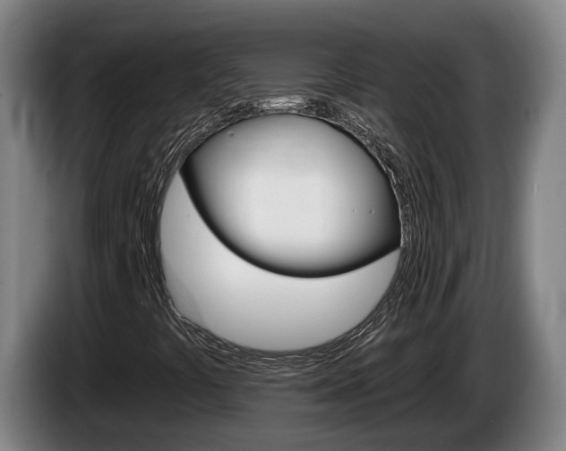 X0000085261441200703090844