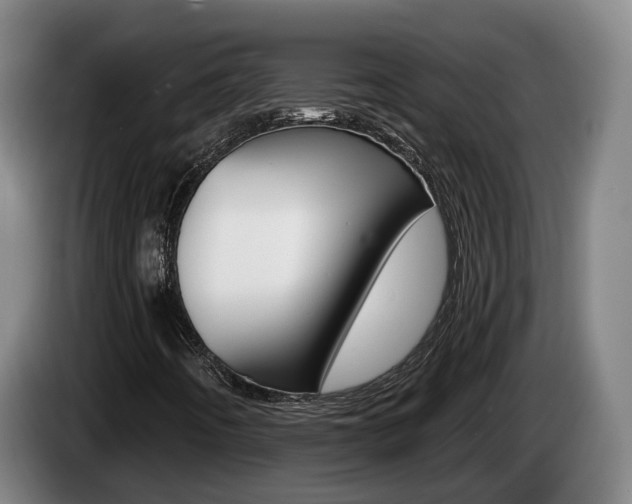 X0000085261442200703090844