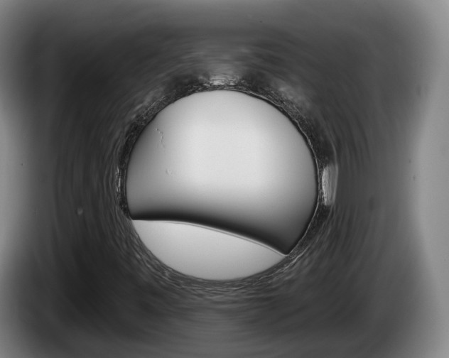 X0000085261443200703090844