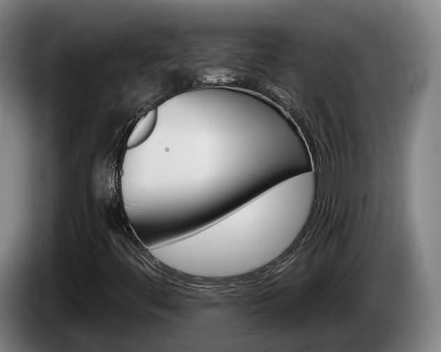 X0000085261444200703090844