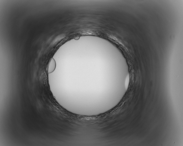 X0000085261446200703090844