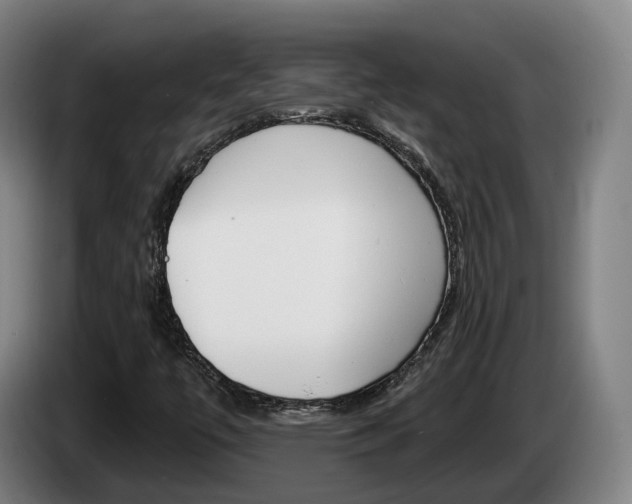 X0000085261447200703090844