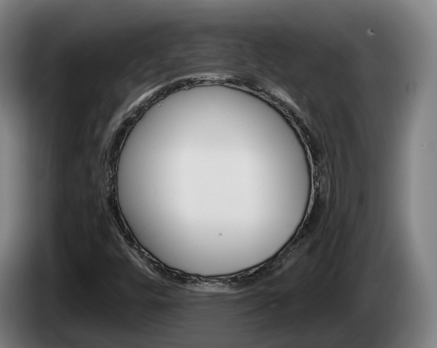 X0000085261448200703090844
