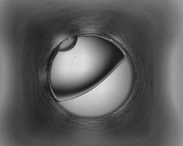 X0000085261450200703090844