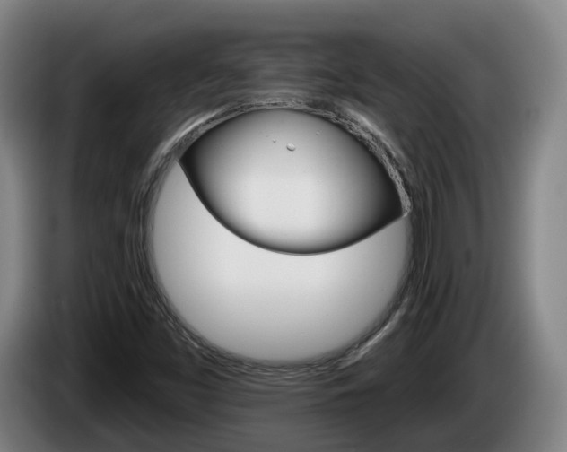 X0000085261453200703090844
