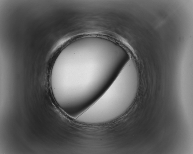 X0000085261456200703090844