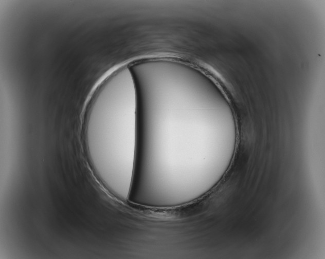 X0000085261460200703090844