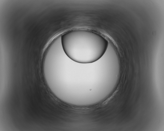 X0000085261461200703090844