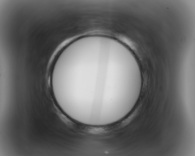 X0000085261462200703090844