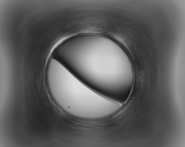 X0000085261463200703090844