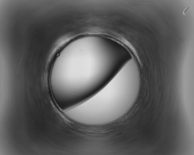 X0000085261464200703090844