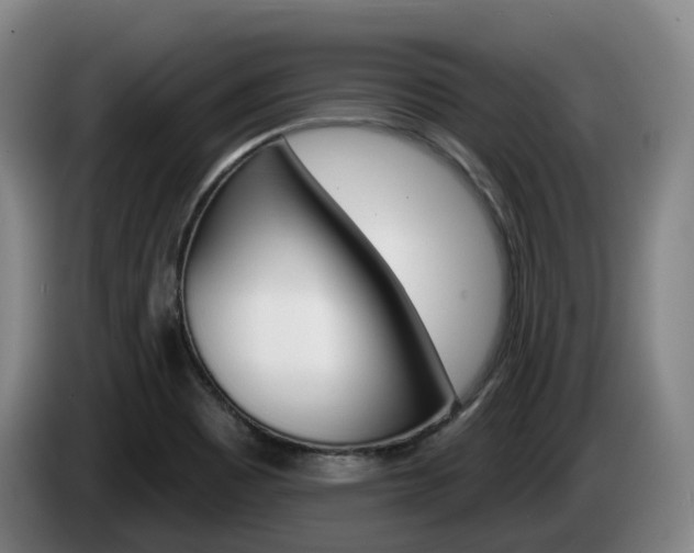 X0000085261465200703090844