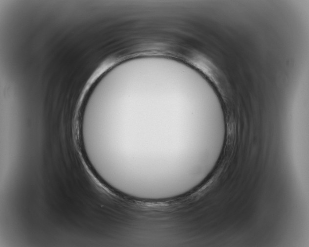 X0000085261466200703090844