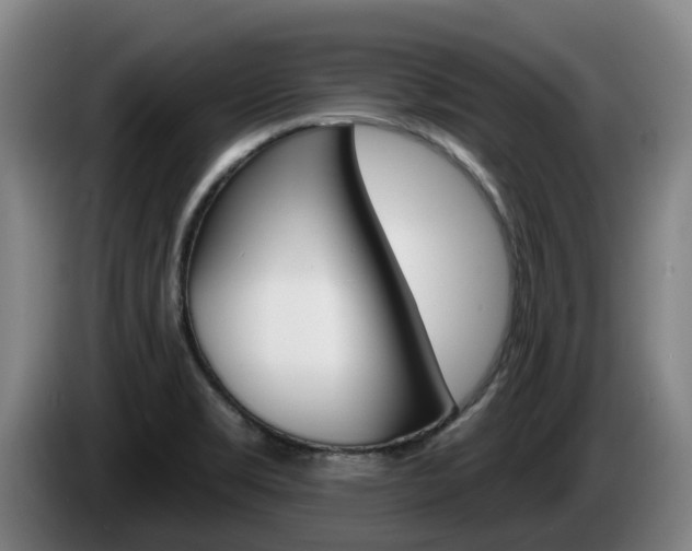 X0000085261469200703090844