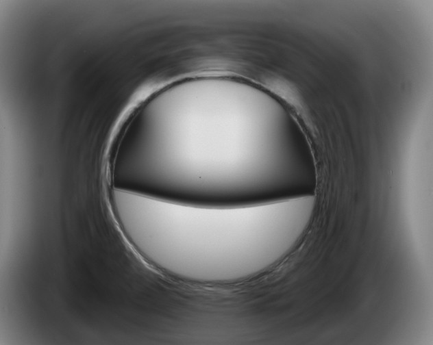 X0000085261472200703090844