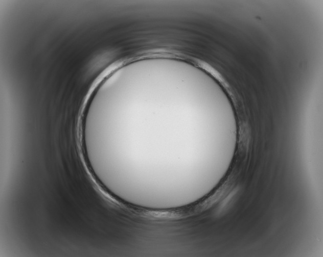 X0000085261474200703090844