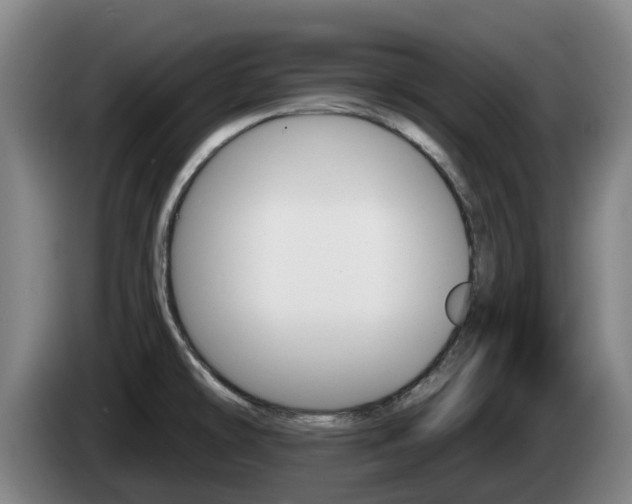 X0000085261478200703090844