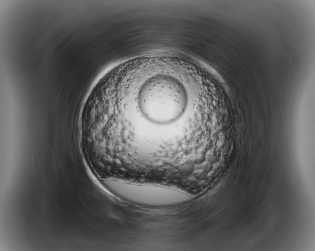 X0000085261479200703090844