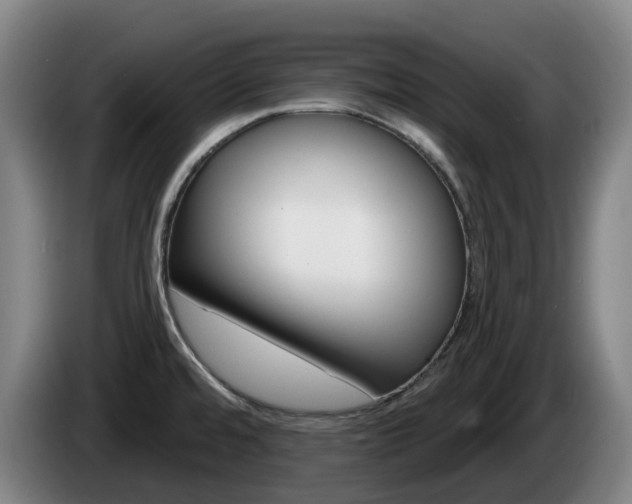 X0000085261480200703090844