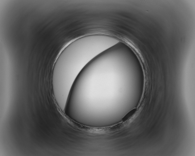 X0000085261481200703090844