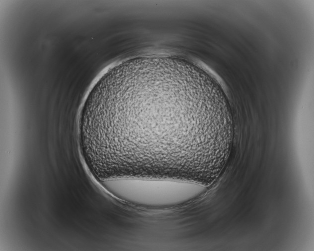 X0000085261483200703090844