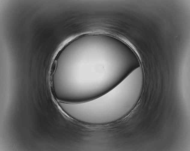 X0000085261485200703090844