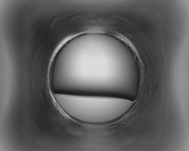 X0000085261488200703090844