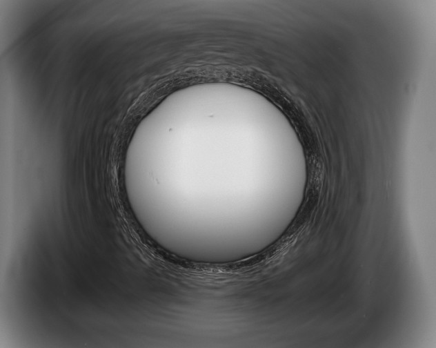 X0000085261489200703090843