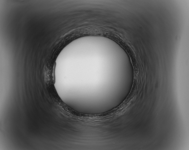 X0000085261490200703090843