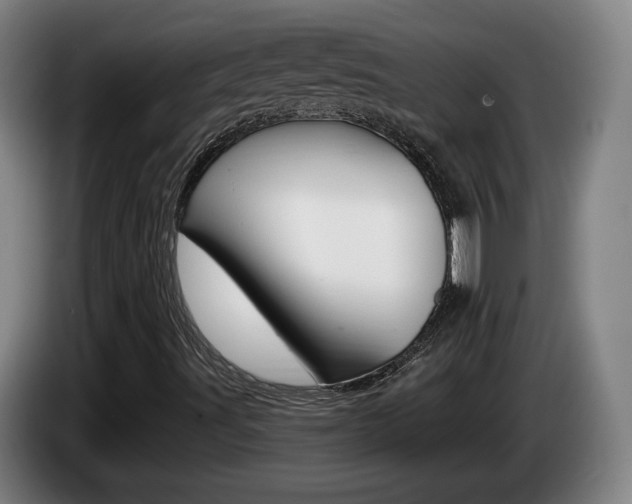 X0000085261491200703090843