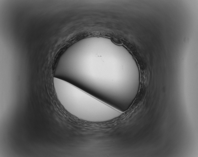 X0000085261493200703090843