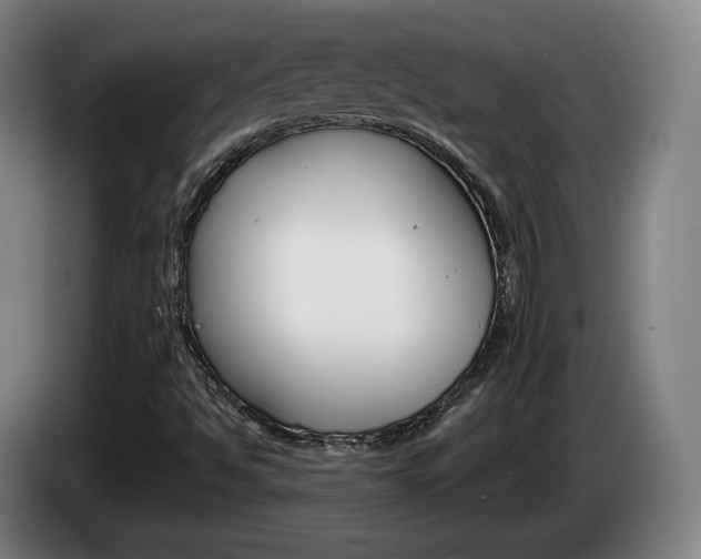 X0000085261494200703090843
