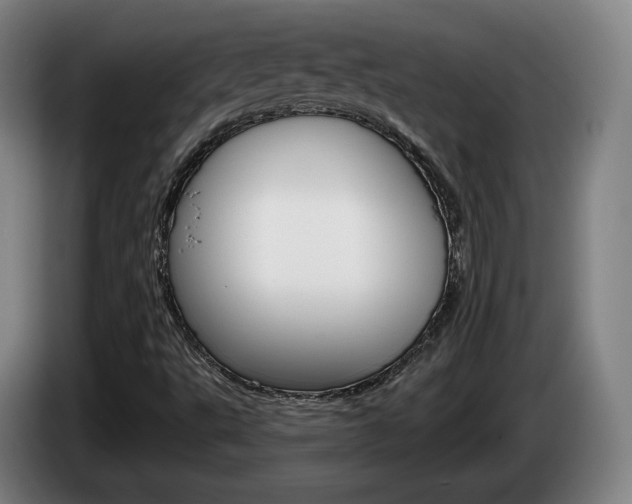 X0000085261495200703090843