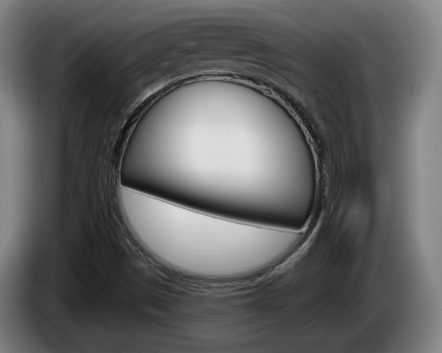 X0000085261497200703090843