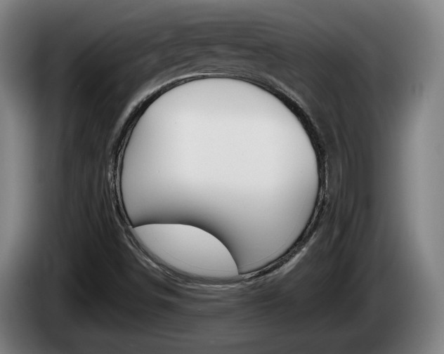 X0000085261498200703090843