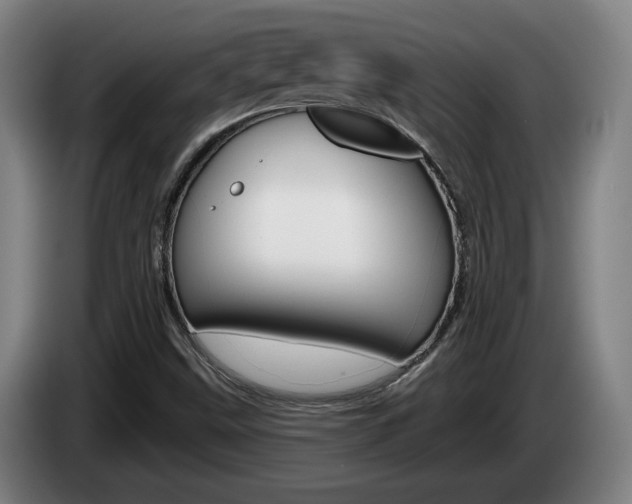 X0000085261499200703090843