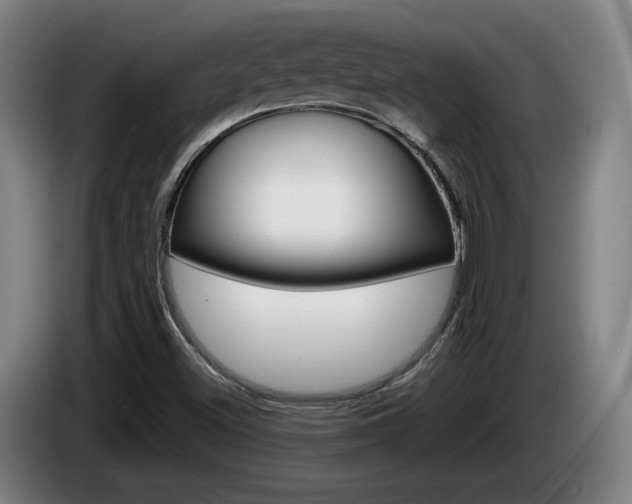 X0000085261500200703090843