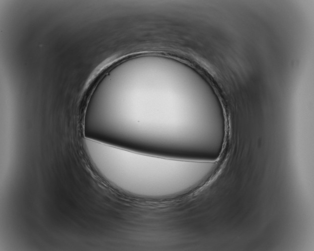 X0000085261501200703090843