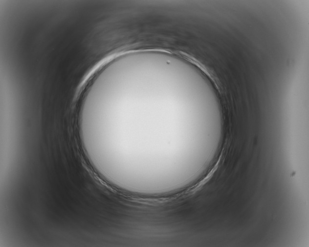 X0000085261502200703090843