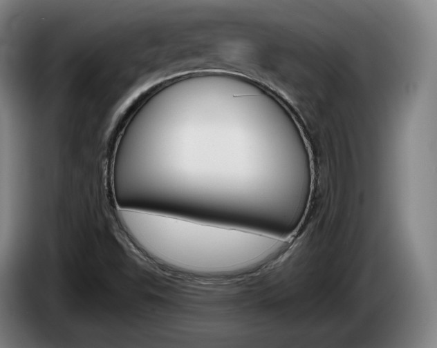 X0000085261503200703090843