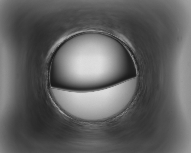 X0000085261504200703090843