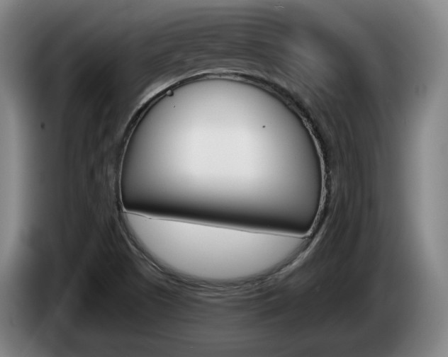 X0000085261505200703090843