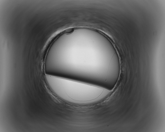 X0000085261507200703090843