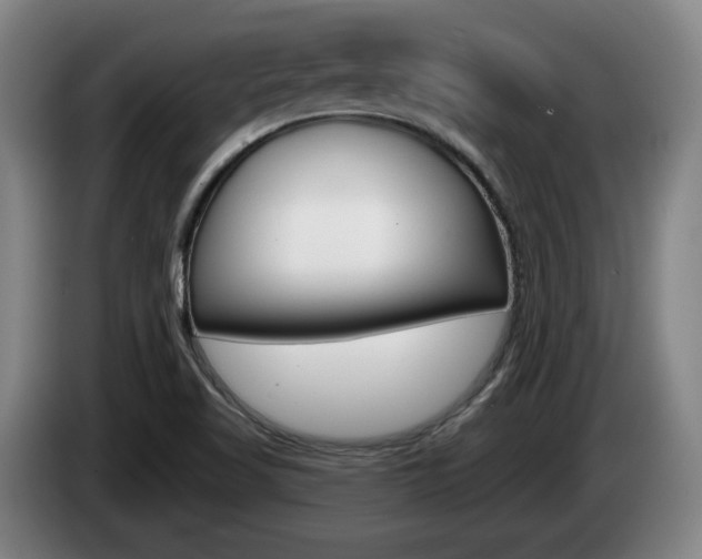 X0000085261509200703090843