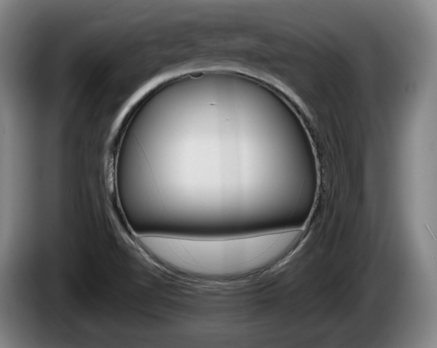 X0000085261510200703090843
