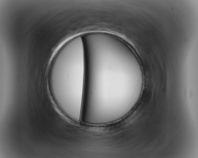 X0000085261511200703090843